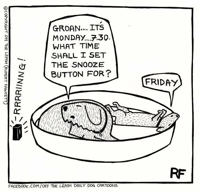 "Off The Leash": 38 Funny Comics That Most Dog Owners Might Relate To (New Pics)