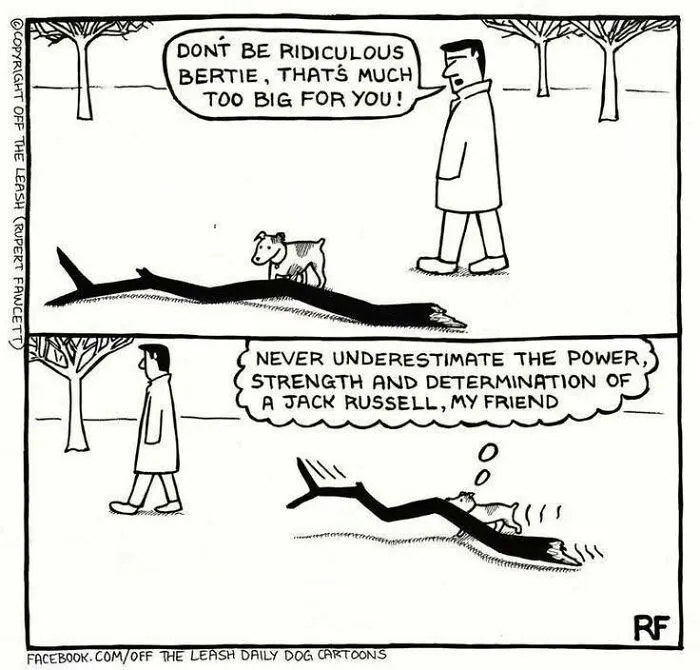 "Off The Leash": 38 Funny Comics That Most Dog Owners Might Relate To (New Pics)