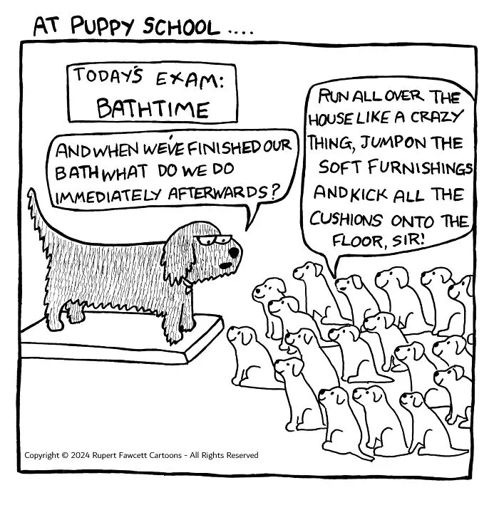"Off The Leash": 38 Funny Comics That Most Dog Owners Might Relate To (New Pics)