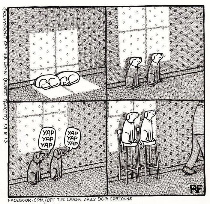 "Off The Leash": 38 Funny Comics That Most Dog Owners Might Relate To (New Pics)