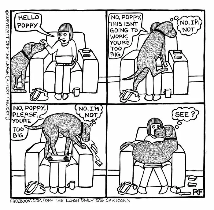 "Off The Leash": 38 Funny Comics That Most Dog Owners Might Relate To (New Pics)