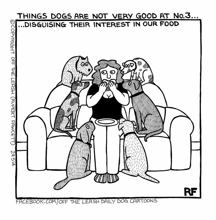 "Off The Leash": 38 Funny Comics That Most Dog Owners Might Relate To (New Pics)