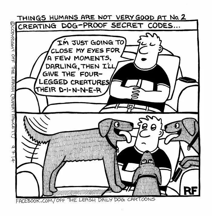 Cartoon showing a man trying to create dog-proof secret codes surrounded by eager dogs, highlighting relatable dog owner humor.