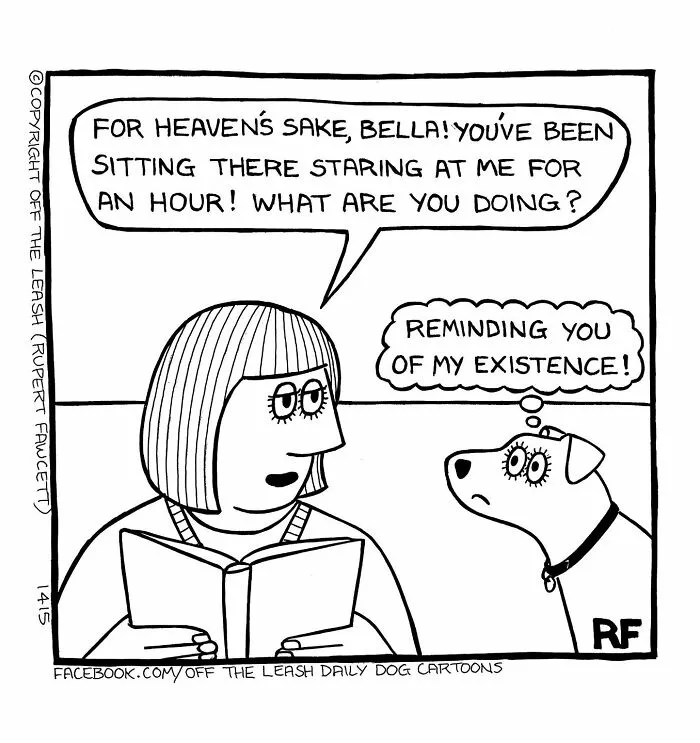 "Off The Leash": 38 Funny Comics That Most Dog Owners Might Relate To (New Pics)