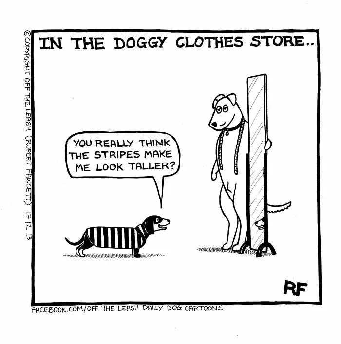 Dog in striped sweater asks if stripes make him look taller at doggy clothes store in off the leash comic.