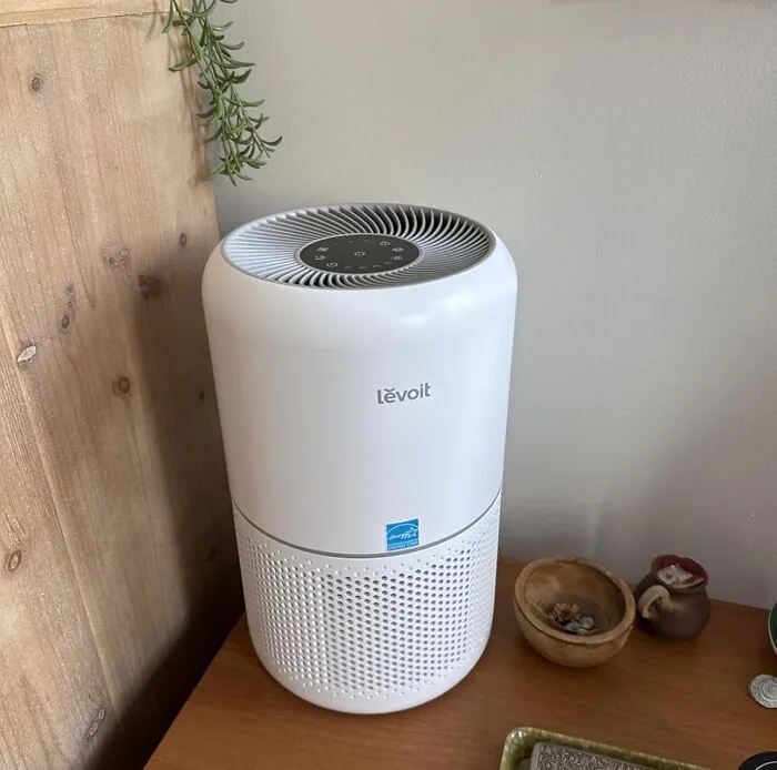 You Can Finally Stop Smelling What The Rock, Or Your Roommate, Was Cookin' Three Days Ago With A <a Style="Display:inline;" Href="Https://Www.amazon.com/Levoit-Purifier-Home-Allergies-Pets/Dp/B07vvk39f7?ie=utf8&th=1&linkcode=ll1&tag=bpsalmon-20&linkid=274b28849beecd053309ea8ee27fc63c&language=en_us&ref_=as_li_ss_tl" Target="_blank">    <span Style="Font: Inherit; Color: #d74b1f;"> Levoit Air Purifier</Span>