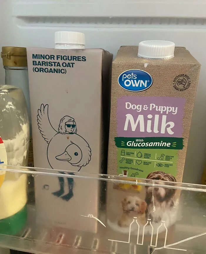 Think I Just Made My Boyfriend A Puppy Milk Latte