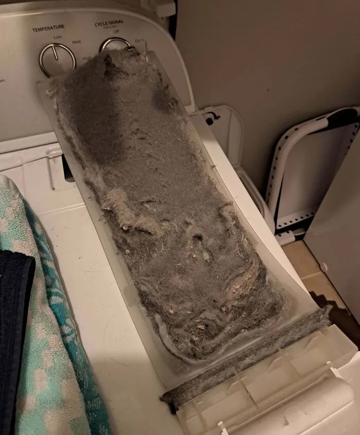 My Girlfriend And Her Mom Never Clean Their Lent Trap