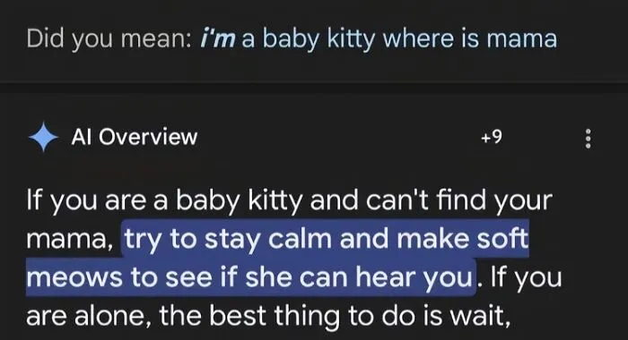 Text snippet highlighting advice for a baby kitty, part of 74 blessed images to make you smile collection.