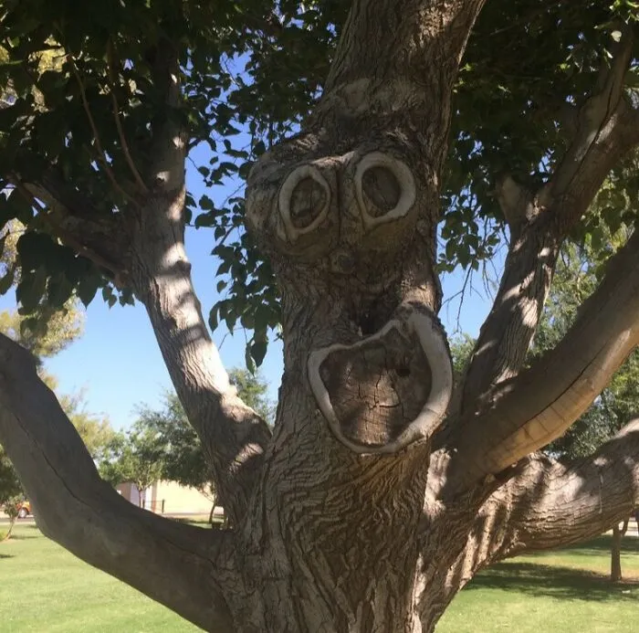 Whacky Inflatable Arm Flailing Tree Man