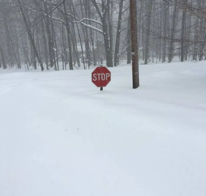 Stop sign nearly buried in deep snow during a winter storm in nature, showing a funny natural scene.