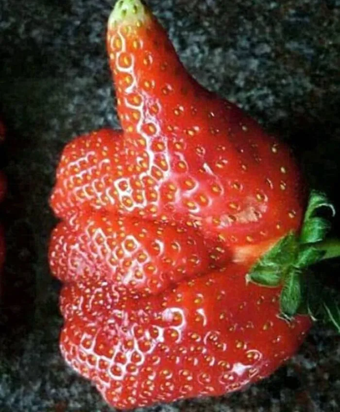 50 Cursed Pictures Of Food That Might Make You Go “Eeeeeuw!” (New Pics)