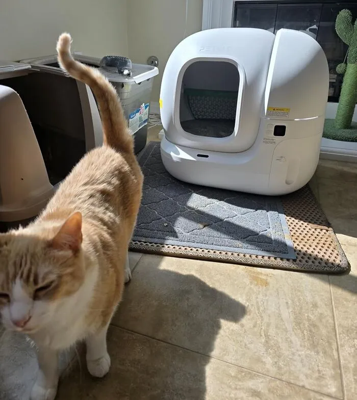 A <a Style="Display:inline;" Href="Https://Www.amazon.com/Petkit-Self-Cleaning-Scoop-Free-Anti-Leakage-Waterproof/Dp/B0dfyf2d7d?ie=utf8&th=1&linkcode=ll1&tag=bpcrab-20&linkid=49d6fe431b575ebdecce5fc1e0e1c430&language=en_us&ref_=as_li_ss_tl" Target="_blank">    <span Style="Font: Inherit; Color: #d74b1f;"> Self-Cleaning Cat Litter Box</Span> Means You Can Finally Retire From Your Unpaid Internship As Your Cat's Personal Bathroom Attendant