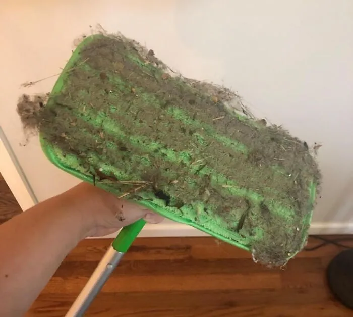 You Can Finally Stop Paying For Those Disposable Pads And Give Your Swiffer A Glow-Up With <a Style="Display:inline;" Href="Https://Www.amazon.com/Swiffer-Wet-Pads-Reusable-Mop-Pads/Dp/B087v8jhsd?ie=utf8&linkcode=ll1&tag=bpstingray-20&linkid=d22003284e0772b2db069ba478bf87ae&language=en_us&ref_=as_li_ss_tl" Target="_blank">    <span Style="Font: Inherit; Color: #d74b1f;"> Reusable Swiffer Pads</Span> That Are As Good For The Planet As They Are For Your Floors