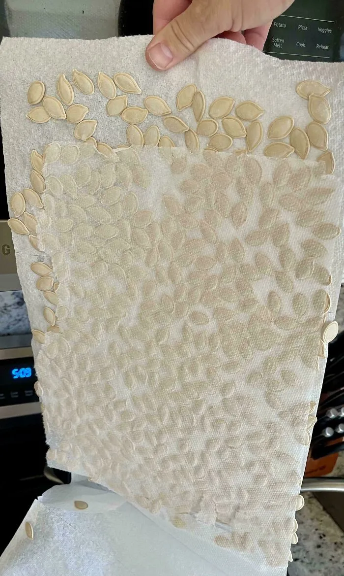 Hand holding paper towel with pumpkin seeds sticking to it, a funny unfortunate situation of forgetting something.