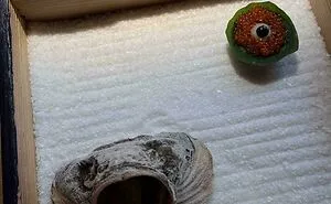 “I Wish I Was Joking”: 50 Times People Were So Stunned By Food Presentation They Had To Take A Pic (New Pics)