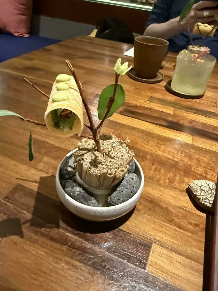 Unique meal served in an unholy way, presented as an artistic edible arrangement with natural elements on a wooden table.