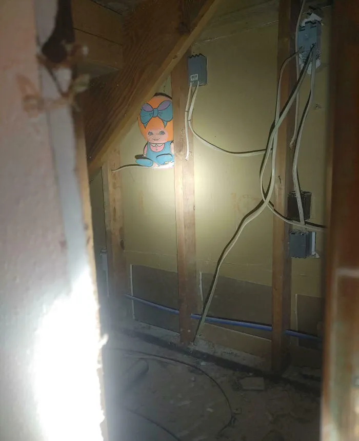 I'm A Plumber. I Had To Open Up A Customer's Wall To Do Some Work And Found This