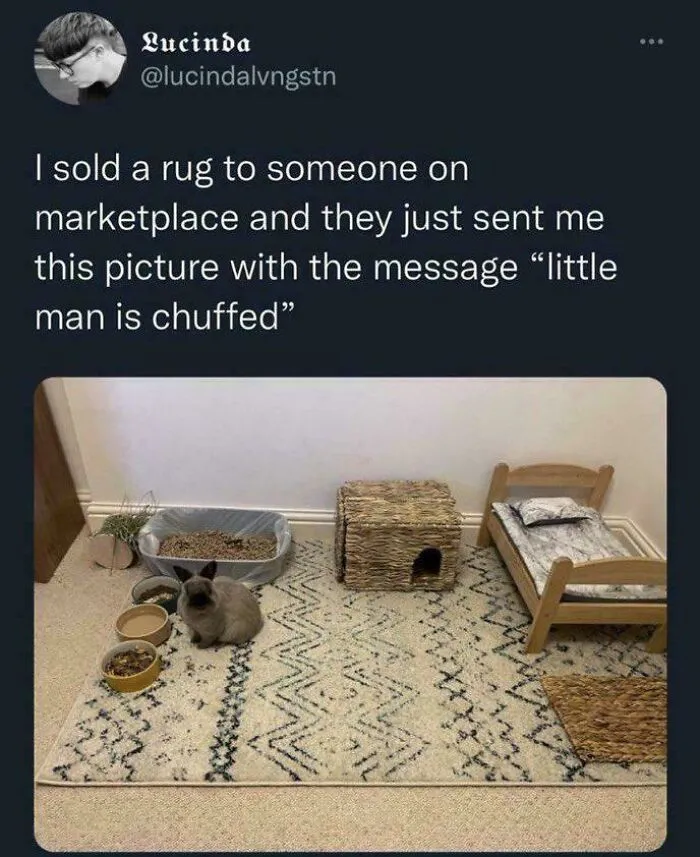 I Would Be Chuffed Too