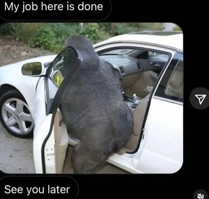Over 100K People Follow This IG Page For Its Weird Content That Draws You In