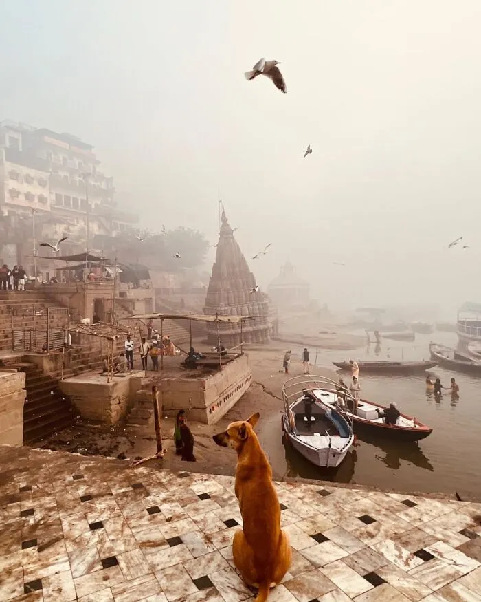 This Instagram Page  Shows The Beauty Of Asia, And Here Are The Best 30 Photos