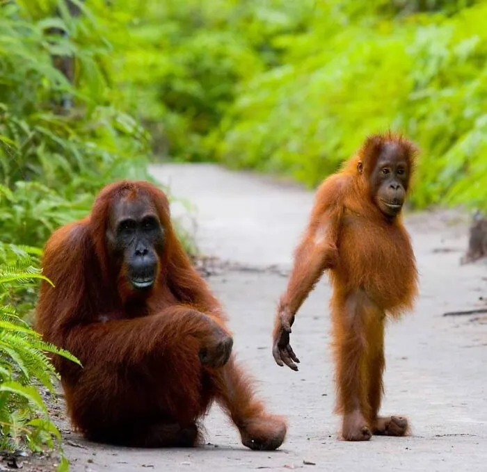 50 Times This Wildlife Photographer Captured Nature In All Its Untamed Glory