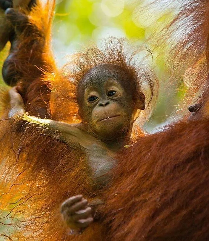 50 Times This Wildlife Photographer Captured Nature In All Its Untamed Glory