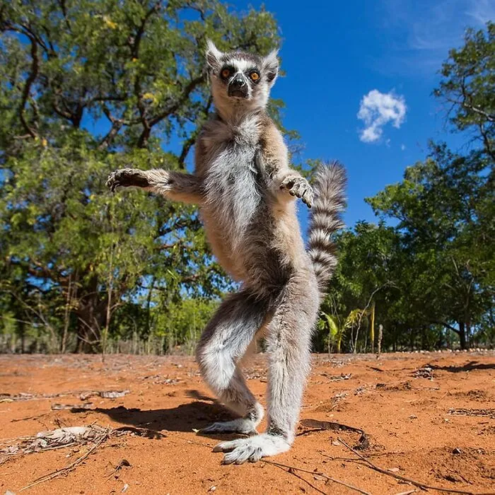 50 Times This Wildlife Photographer Captured Nature In All Its Untamed Glory