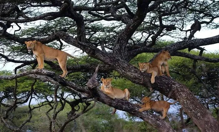 50 Times This Wildlife Photographer Captured Nature In All Its Untamed Glory