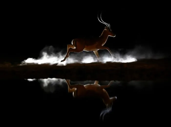 50 Times This Wildlife Photographer Captured Nature In All Its Untamed Glory
