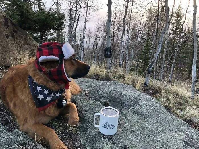 My Dog Actually Likes This Hat. I Thought He’d Shake It Off, But It Goes On Every Trip And He Gets Excited When I Take It Out