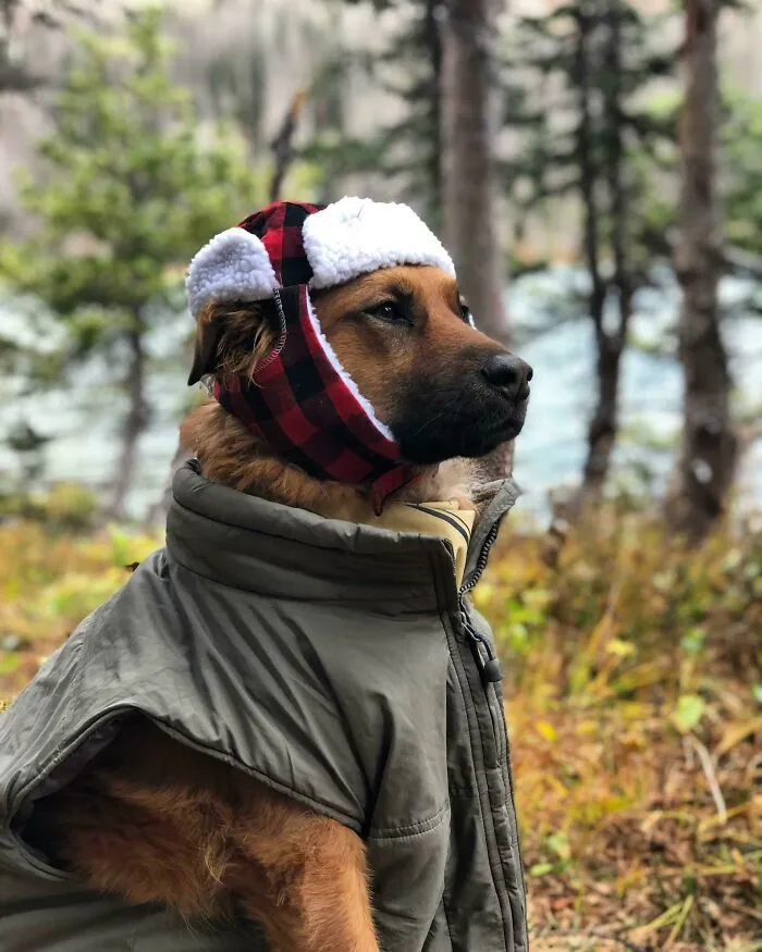Here’s Another One With His Hat- Keeping Warm In The Sangre De Cristos