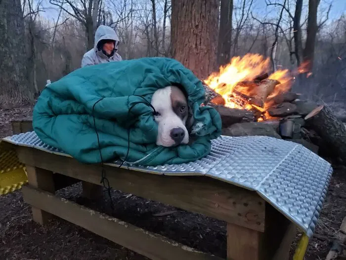 Can Indo Get Some Love On His First Night Going Below 20°