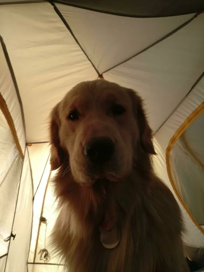 You Up?