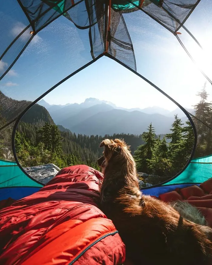 My Favourite Morning Together From This Summer