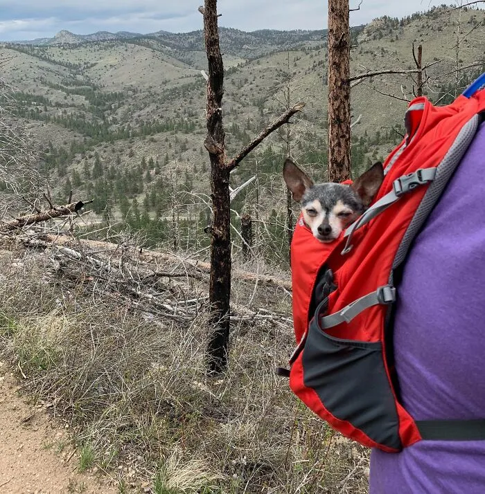 She’s Such A Hiker! 14 Yo And Goes Until She Just Can’t Anymore