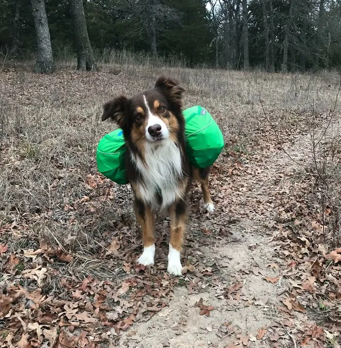 Almost 9 Years Old And Still As Spunky As Ever