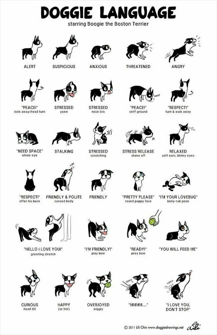 Lovely Chart Of Doggie Body Language