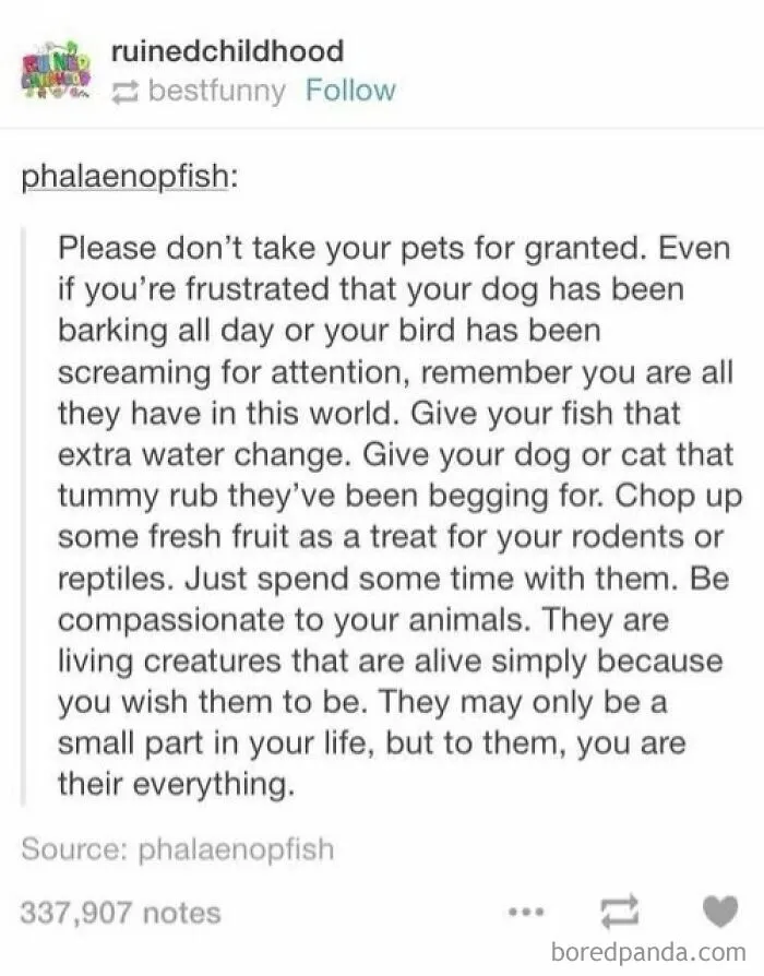 50 Tumblr Posts That Won The Internet And Deserve To Stay On It Forever