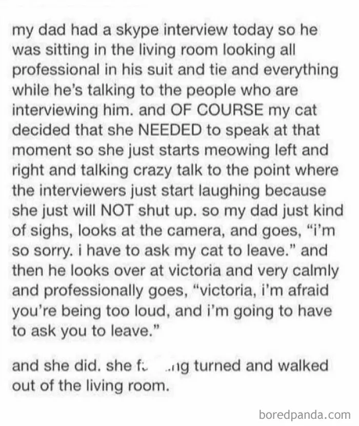 50 Tumblr Posts That Won The Internet And Deserve To Stay On It Forever