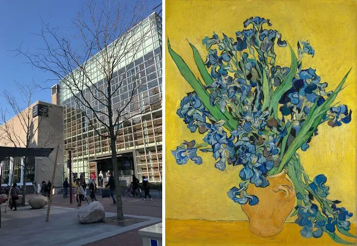 "Vase With Irises Against A Yellow" By Vincent Van Gogh, Located At The Van Gogh Museum, Amsterdam, Netherlands