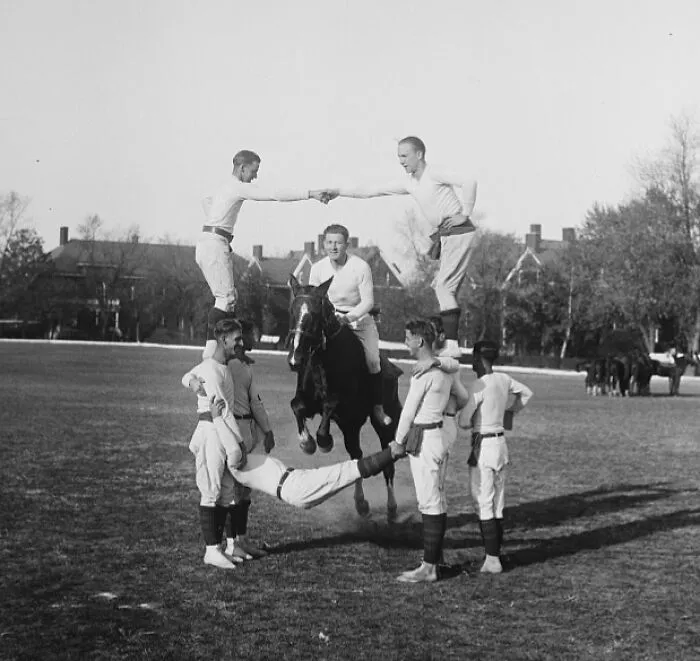 Horse Jumping Through Group Of Men, Washington, D.C., 1930