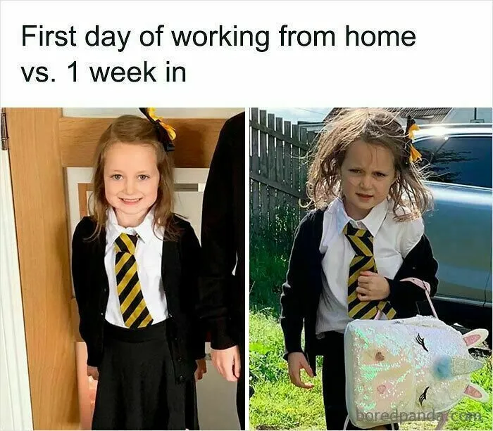 50 Hilariously Relatable WFH Memes To Help You Pretend To Be Working