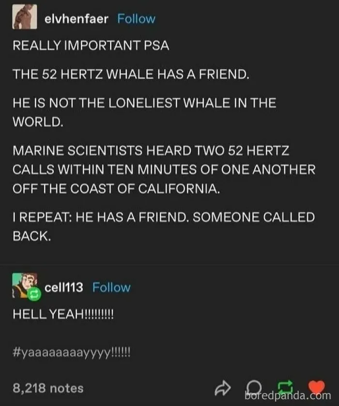 50 Tumblr Posts That Won The Internet And Deserve To Stay On It Forever