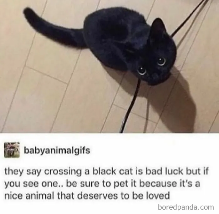 50 Tumblr Posts That Won The Internet And Deserve To Stay On It Forever