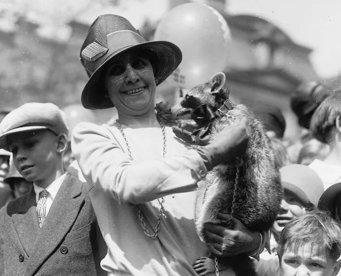 Mrs. Coolidge & White House Pet Raccoon Rebecca, 1927