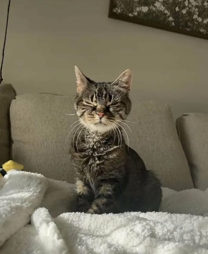 We Adopted A 17 Year Old Baby