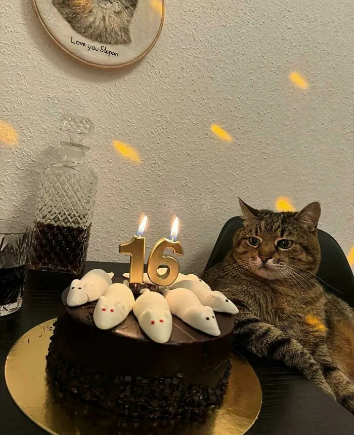 Stepan ha cumplido 16 años