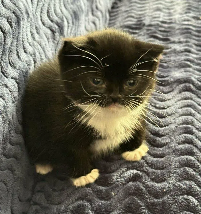 My Tiny Round Girl!!!! Cleo