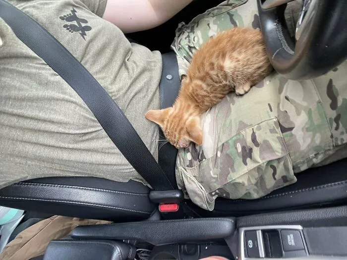 Pulled This Guy Off The Side Of The Highway Today
